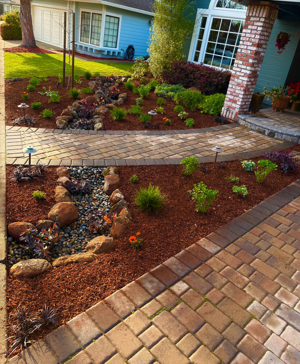 Alameda | Dry River Bed Planting and Landscape Lighting Design, Installation, and Maintenance