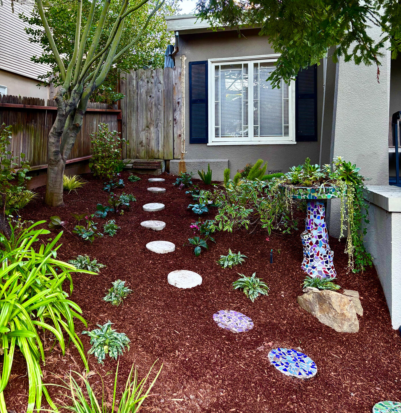 Piedmont | Shade Garden Design, Installation, and Maintenance